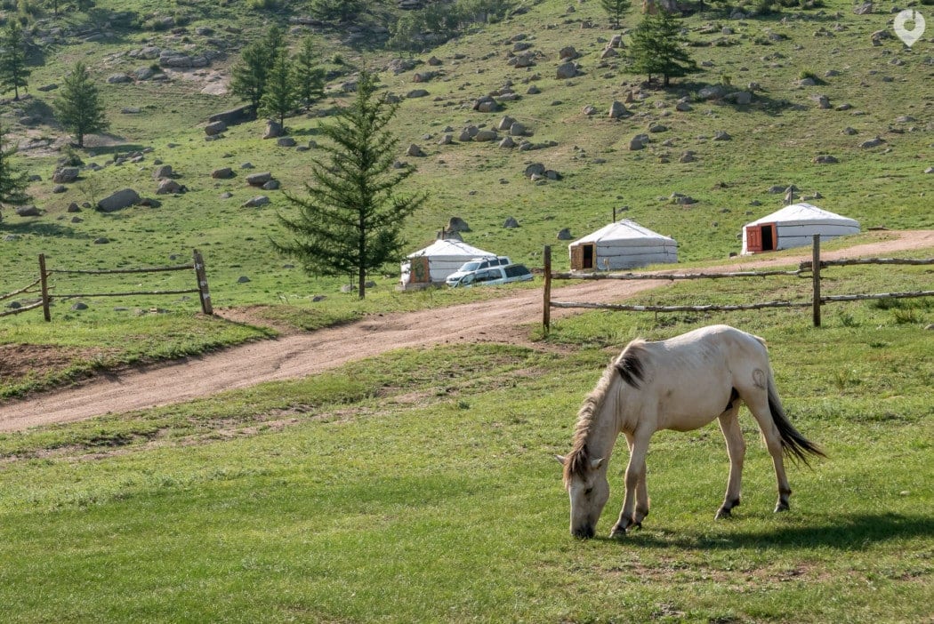 Mongolei: Terelj National Park