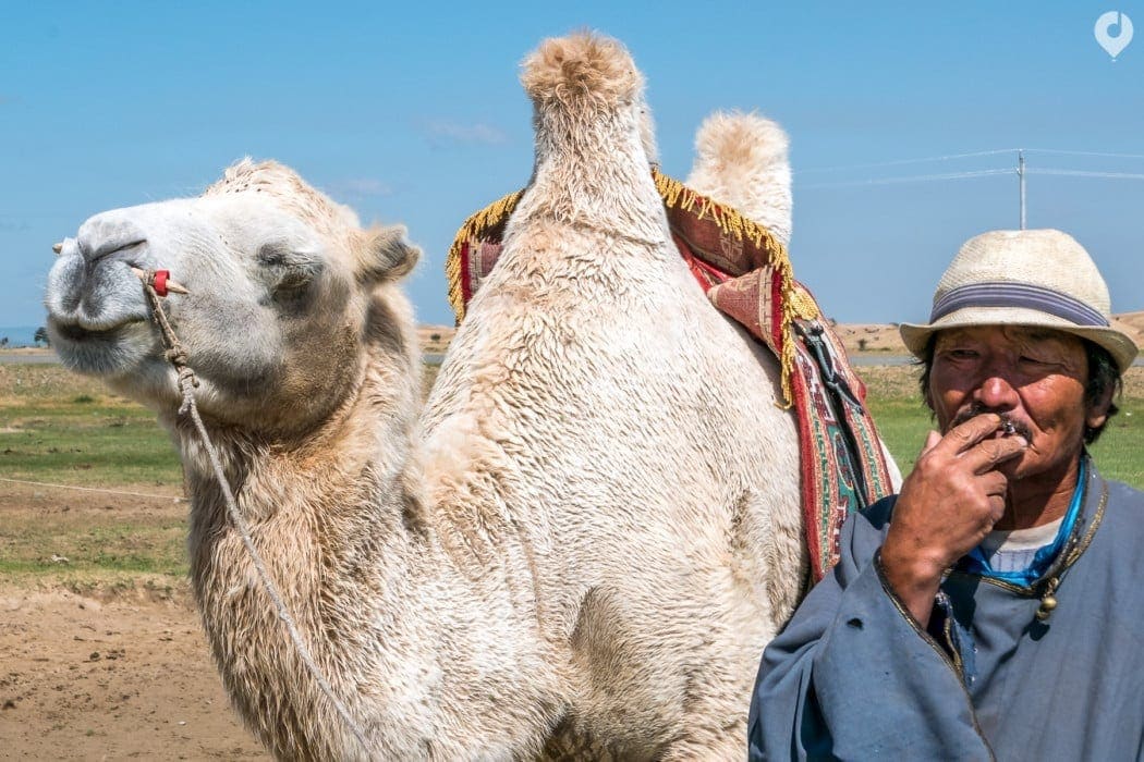 Mongolei: Der Mann und sein Kamel