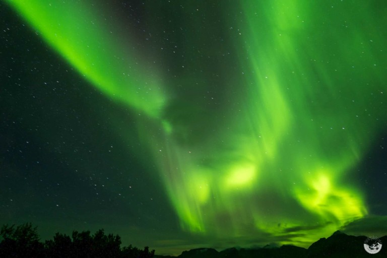 Nordlichter über den Lofoten, Norwegen