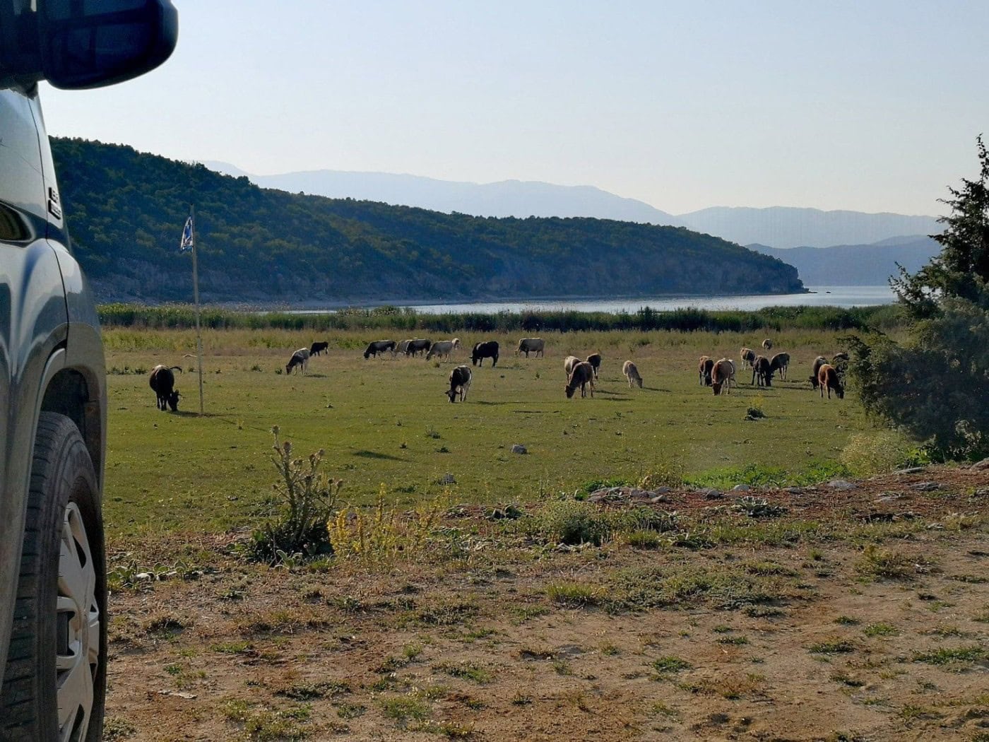 Griechenland Roadtrip: Prespasee