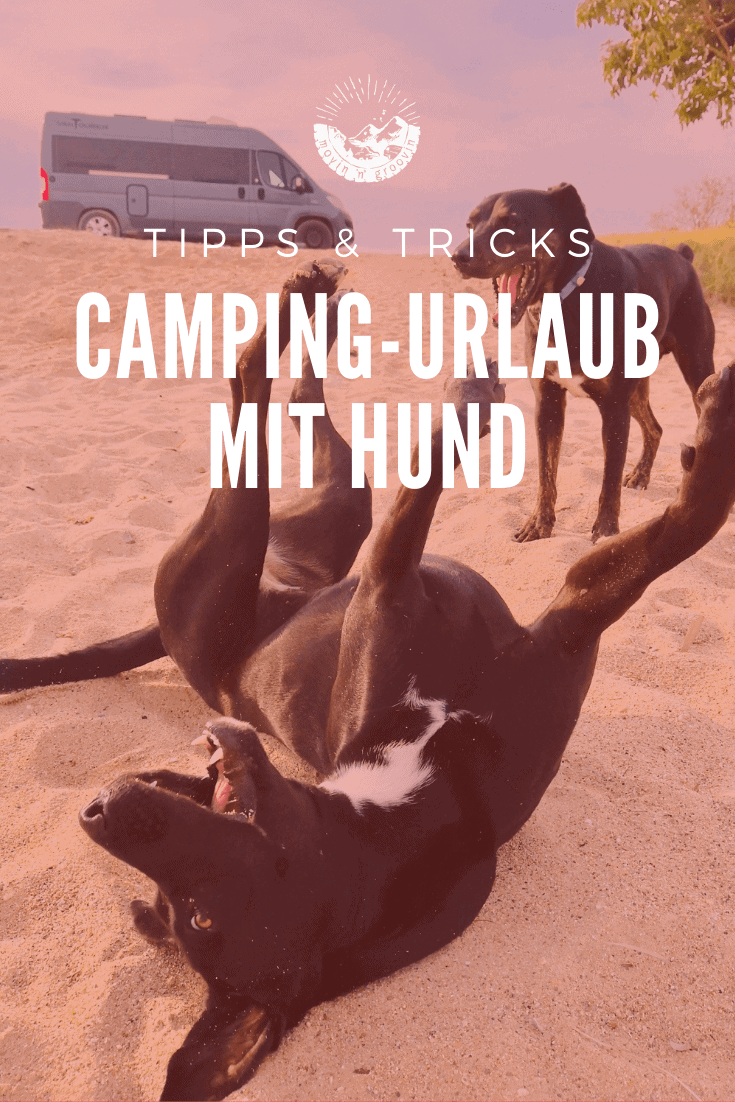Camping-Urlaub mit Hund