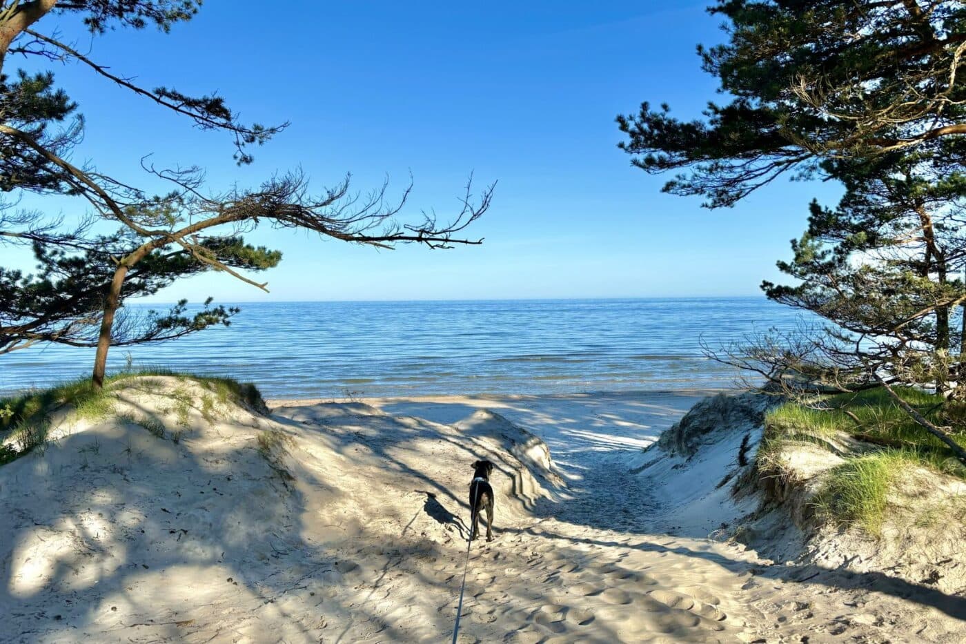 Lettlands Ostküste: Bernāti Naturpark